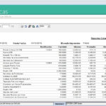 Capturas de pantalla del Módulo Estadísticas del Cloud ERP Company Kit