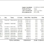 Capturas de pantalla del Módulo de Liquidación de Sueldos del Cloud ERP Company Kit
